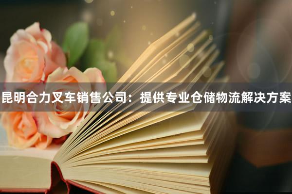 昆明合力叉车销售公司：提供专业仓储物流解决方案