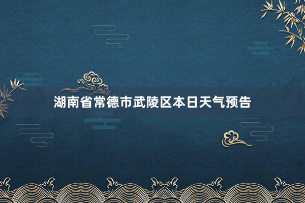 湖南省常德市武陵区本日天气预告